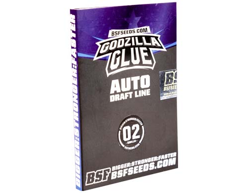 godzilla-glue-auto-paquete SensorySeeds Paquete Semillas Godzilla Glue Autoflorecientes