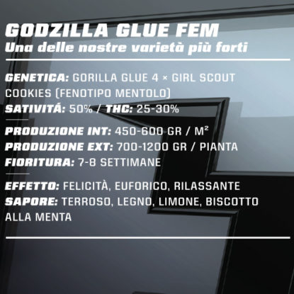 godzilla-glue-feminized-canapa-info-1-415x415 SensorySeeds Descripción Semillas Godzilla Glue Autoflorecientes