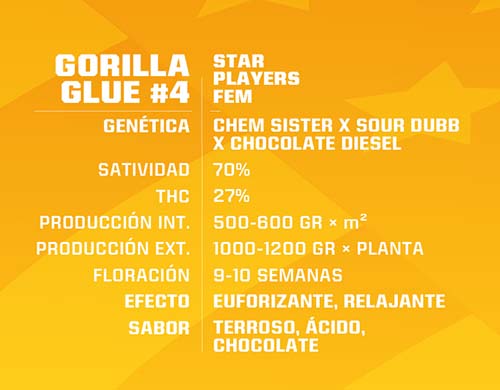 gorilla-glue-fem-descripción SensorySeeds Descripción Semillas Gorilla Glue Feminizadas