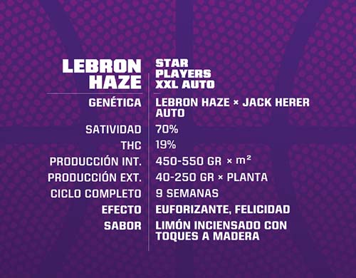 lebron-haze-auto-descripción SensorySeeds Descripción Semillas Lebron Haze Autoflorecientes