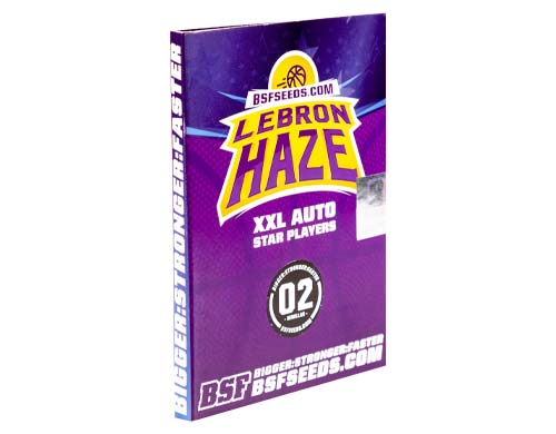 lebron-haze-auto-paquete SensorySeeds Paquete Semillas Lebron Haze Autoflorecientes
