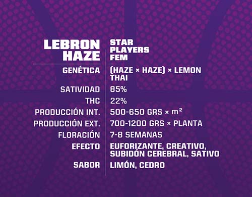 lebron-haze-fem-descripción SensorySeeds Descripción Semillas Lebron Haze Feminizadas