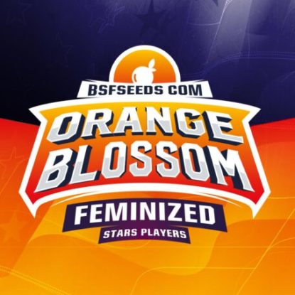 logo-orange-blossom-semillas-feminizadas Logo de Orange Blossom de semillas feminizadas