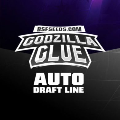 Logo semillas autoflorecientes de Godzilla Glue