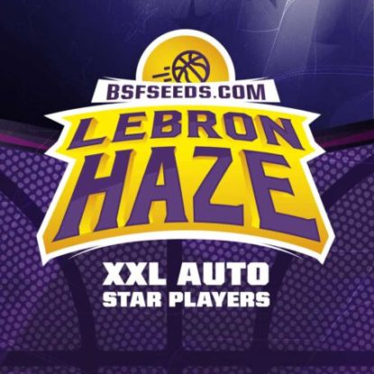 logo-semillas-autoflorecientes-lebron-haze Logo semillas autoflorecientes de Lebron Haze