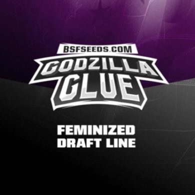 Logo semillas feminizadas de Godzilla Glue