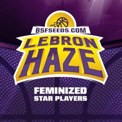 logo-semillas-feminizadas-lebron-haze Logo semillas feminizadas de Lebron Haze
