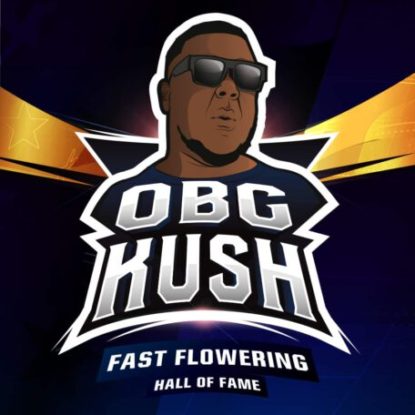 logo-semillas-floracion-rapida-obg-kush Logo de semillas de floracion rapida Obg Kush