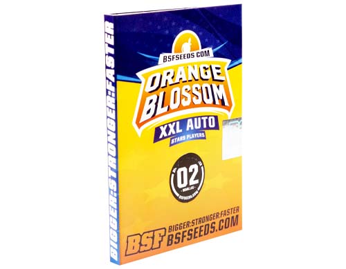 orange-blossom-auto-paquete SensorySeeds Paquete Semillas Orange Blossom Autoflorecientes