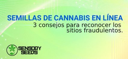 SEMILLAS DE marihuana EN LÍNEA