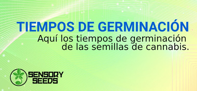 TIEMPOS DE GERMINACIÓN de semillas de cannabis