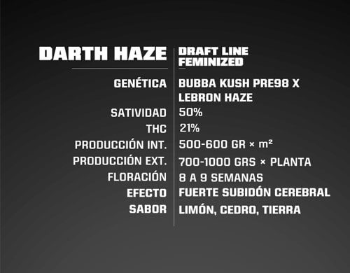 Descripcion Darth Haze de semillas feminizadas