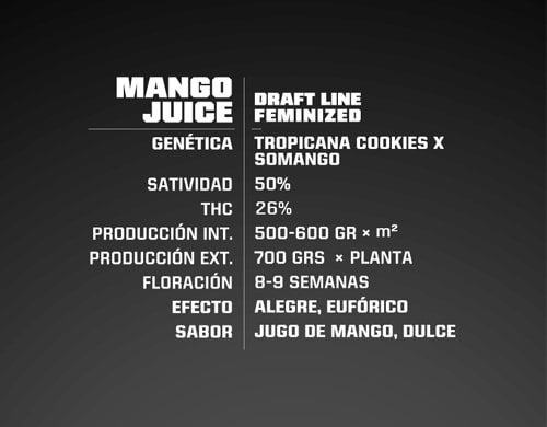 Descripcion Mango Juice de semillas feminizadas
