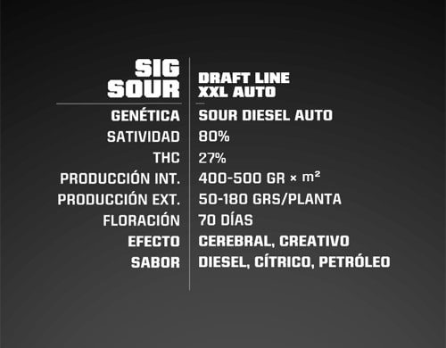 Description Sig Sour XXL de semillas autoflorecientes