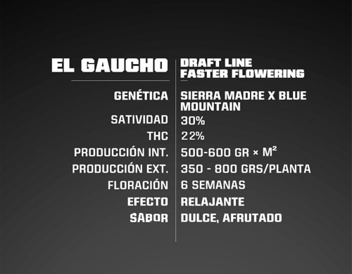 informacion-semillas-floracion-rapida-el-gaucho Informacion de semillas de floracion rapida El Gaucho