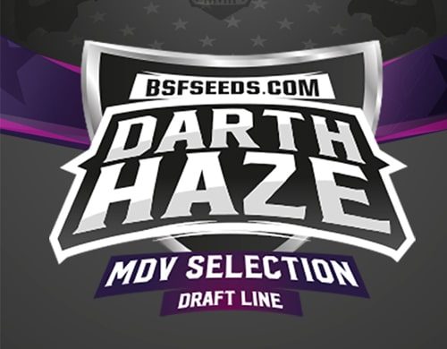 Logo Darth Haze de semillas feminizadas
