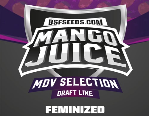 logo-mango-juice-semillas-feminizadas Logo Mango Juice de semillas feminizadas