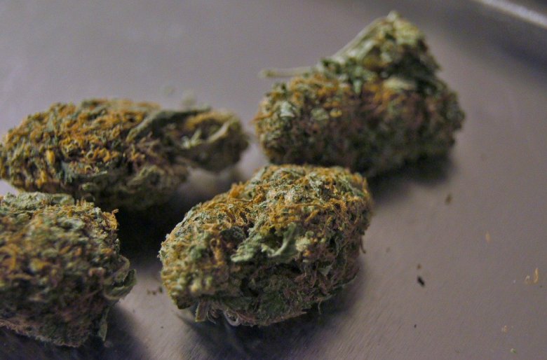 semillas de marihuana cannabis cup