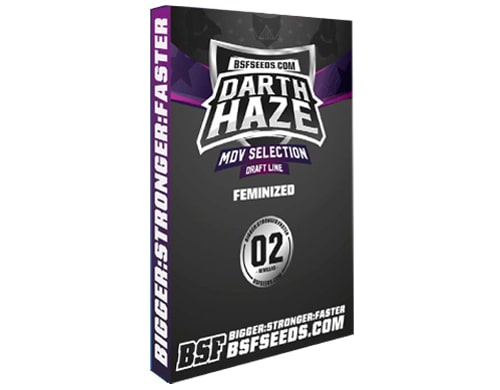 semillas-de-marihuana-darth-haze-sensoryseeds-growshop-online Semillas de marihuana Darth Haze en Sensoryseeds Growshop online