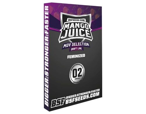 Semillas feminizadas de Mango Juice en Sensoryseeds