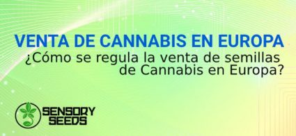 VENTA DE semillas de CANNABIS