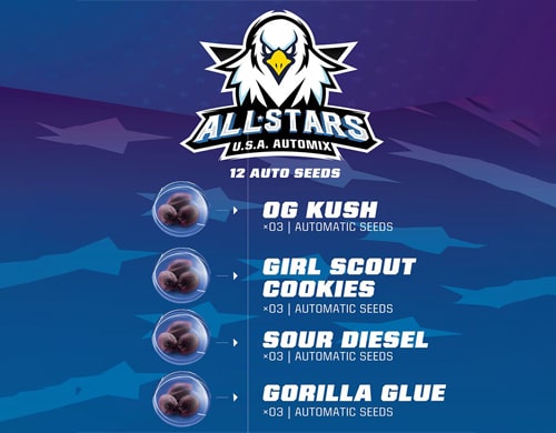 all-stars-kit-marihuana producto-all-stars