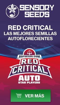 Banner de Red Critical