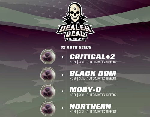 cbd-semillas-dealer-deal-kit kit-dealer-deal-marihuana