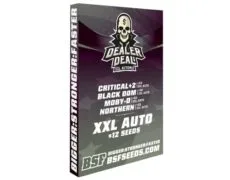 kit-semillas-de-marihuana-dealer-deal-xxl-automix-comprar Kit de semillas de marihuana Dealer Deal XXL Automix en sensoryseeds comprar