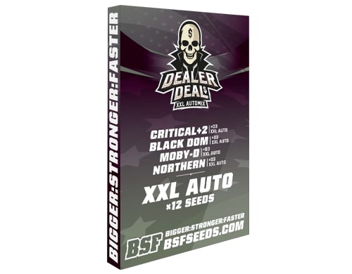 Kit de semillas de marihuana Dealer Deal XXL Automix en sensoryseeds comprar