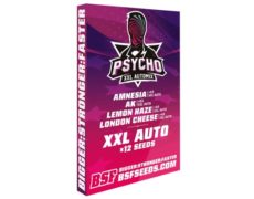 Kit Psycho XXL Automix de semillas en Sensoryseeds