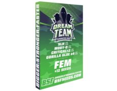 Kit Dream team Feminized Mix de semillas de marijuana