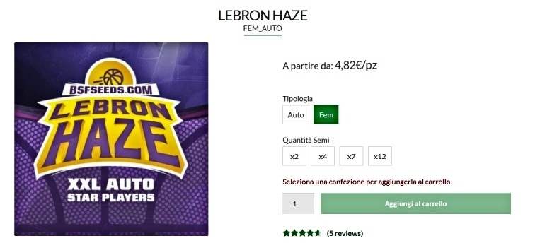 lebron haze semillas de cannabis