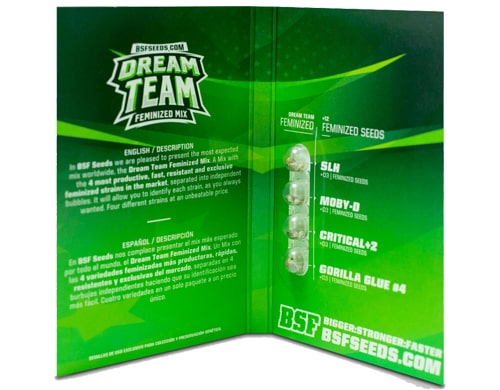 paquete-kit-semillas-de-marihuana-dream-team-feminized-mix Paquete de semillas de marihuana Dream Team Feminized Mix