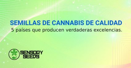 SEMILLAS DE CANNABIS DE CALIDAD