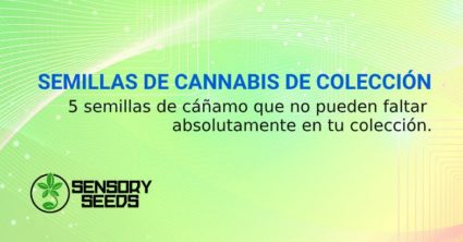 SEMILLAS DE CANNABIS DE COLECCIÓN