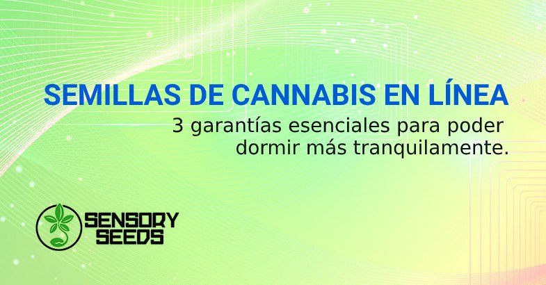 SEMILLAS DE CANNABIS EN LÍNEA