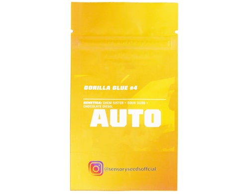 descripcion-semillas-autoflorecientes-cannabis-a-granel-gorilla-glue-4 Descripción de semillas autoflorecientes de cannabis a granel de Gorilla Glue 4
