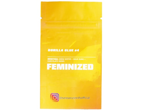 descripcion-semillas-feminizadas-a-granel-gorilla-glue-4 Descripción de semillas feminizadas a granel de Gorilla Glue 4