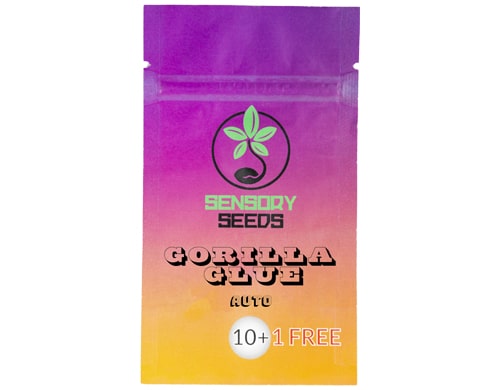 semillas-autoflorecientes-a-granel-gorilla-glue-4 semillas-de-cannabis-a-granel-gorilla-glue-4