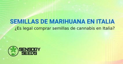 COMPRAR SEMILLAS DE MARIHUANA EN ITALIA