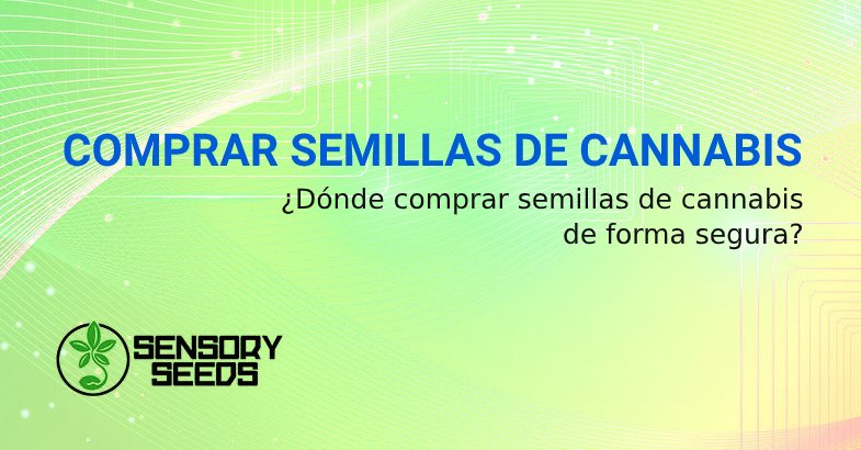 DONDE COMPRAR SEMILLAS DE CANNABIS