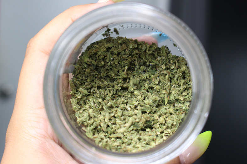 Semillas de cannabis autoflorecientes: trucos para una perfecta conservación 2