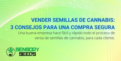 Vender semillas de cannabis 3 consejos para una compra segura