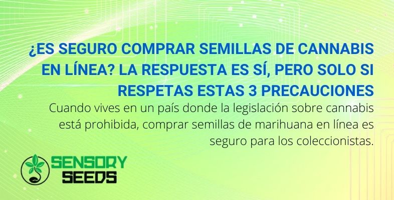 ¿Es seguro comprar semillas de cannabis en línea?