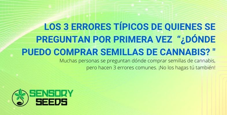 Semillas de cannabis: los 3 errores tipicos