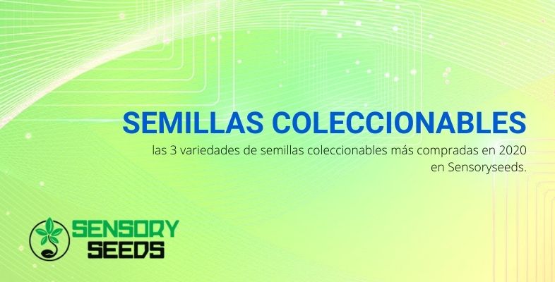 Semillas coleccionables: las más compradas en 2020 en Sensoryseeds.