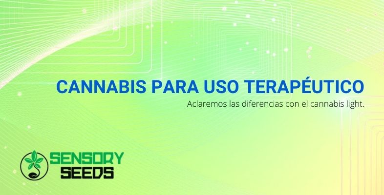 Cannabis para uso terapéutico: aclaremos las diferencias con el cannabis light.