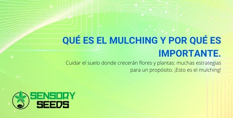 Qué es el mulching y por qué es importante.