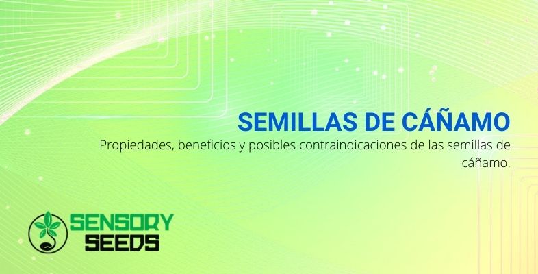 Las propiedades y beneficios de las fantásticas semillas de cáñamo